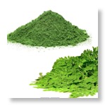 moringa