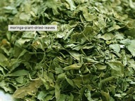 Moringa leaves dried