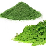 Powder moringa 